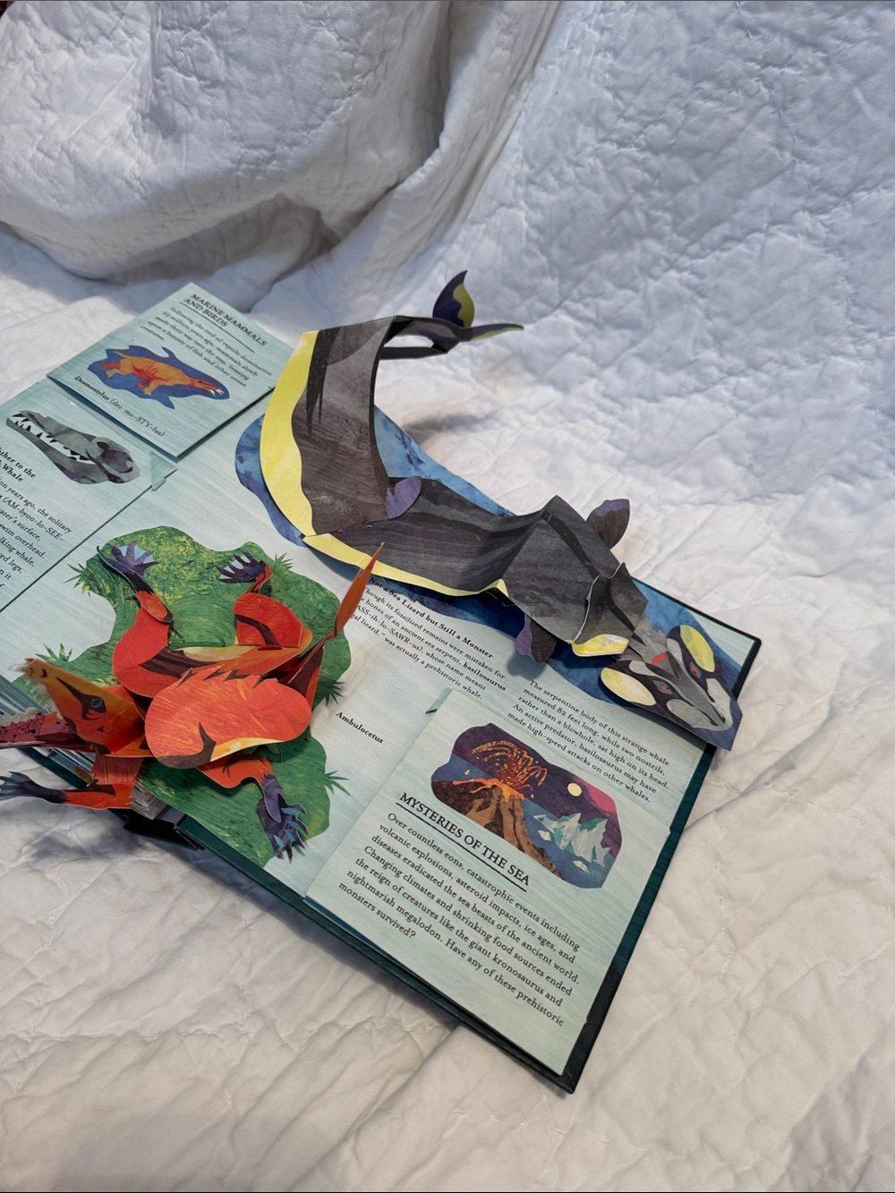 Encyclopedia Prehistorica: Sharks and Other Sea Monsters - Teal Pop-Up Book - Picture 8 of 8